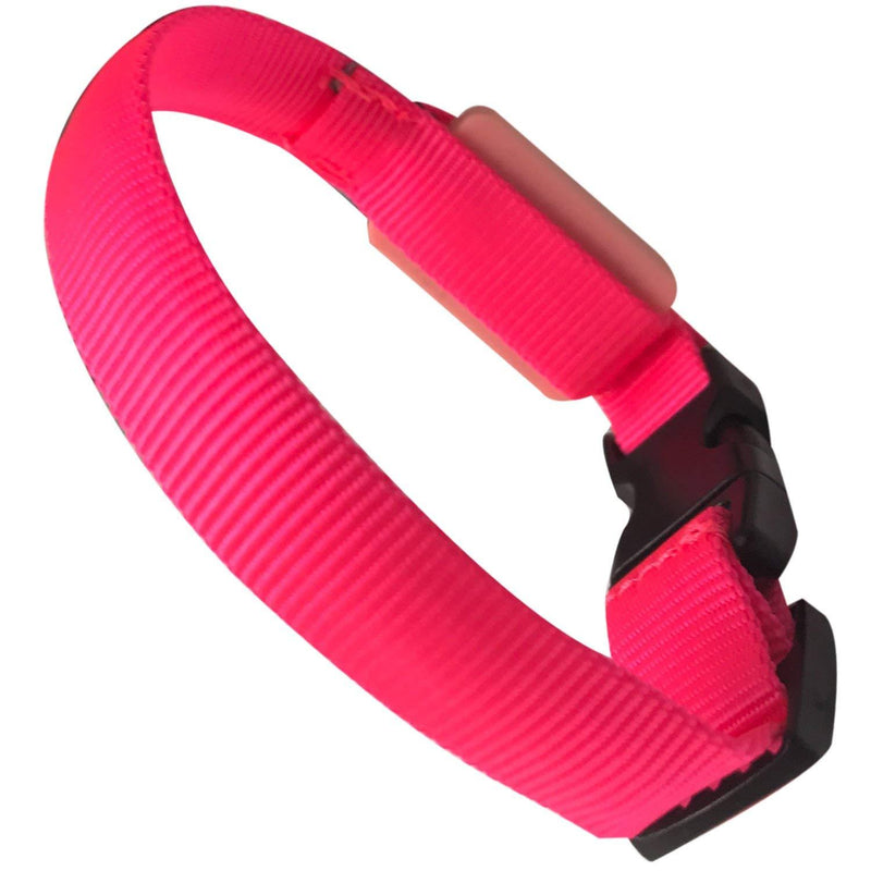 EXPERSOL LED Dog Collar Super Bright Battery Operated Increased Visibility and Safety 4 Colours (Pink X-Small) - PawsPlanet Australia