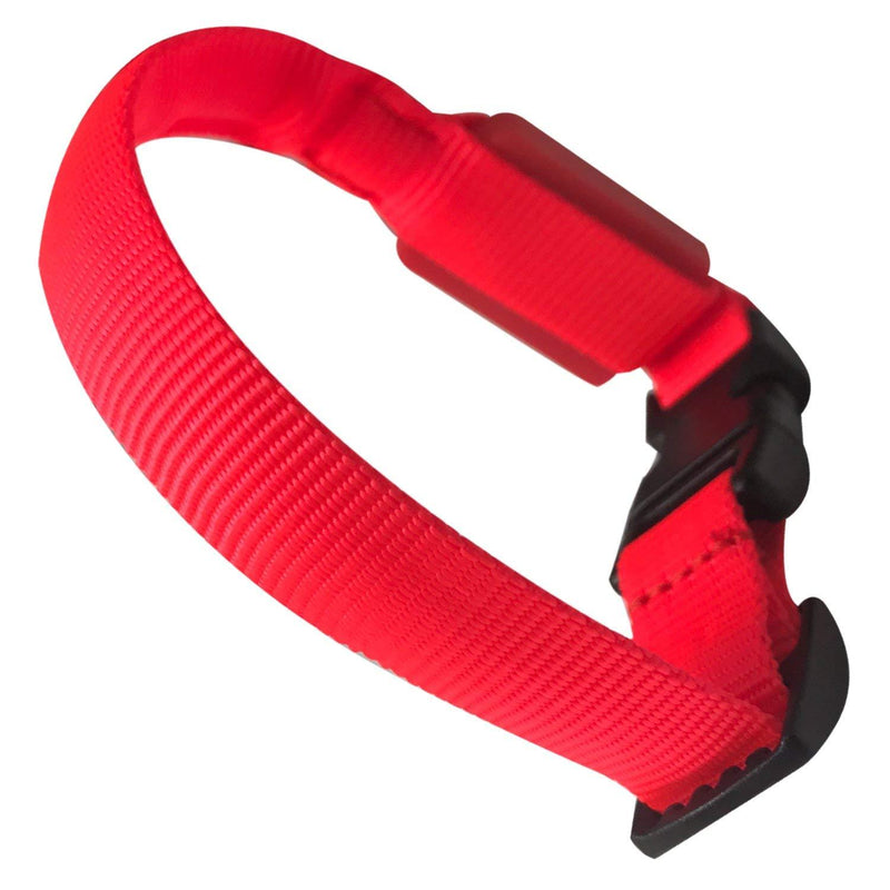 EXPERSOL LED Dog Collar Super Bright Battery Operated Increased Visibility and Safety 4 Colours (Red X-Small) - PawsPlanet Australia