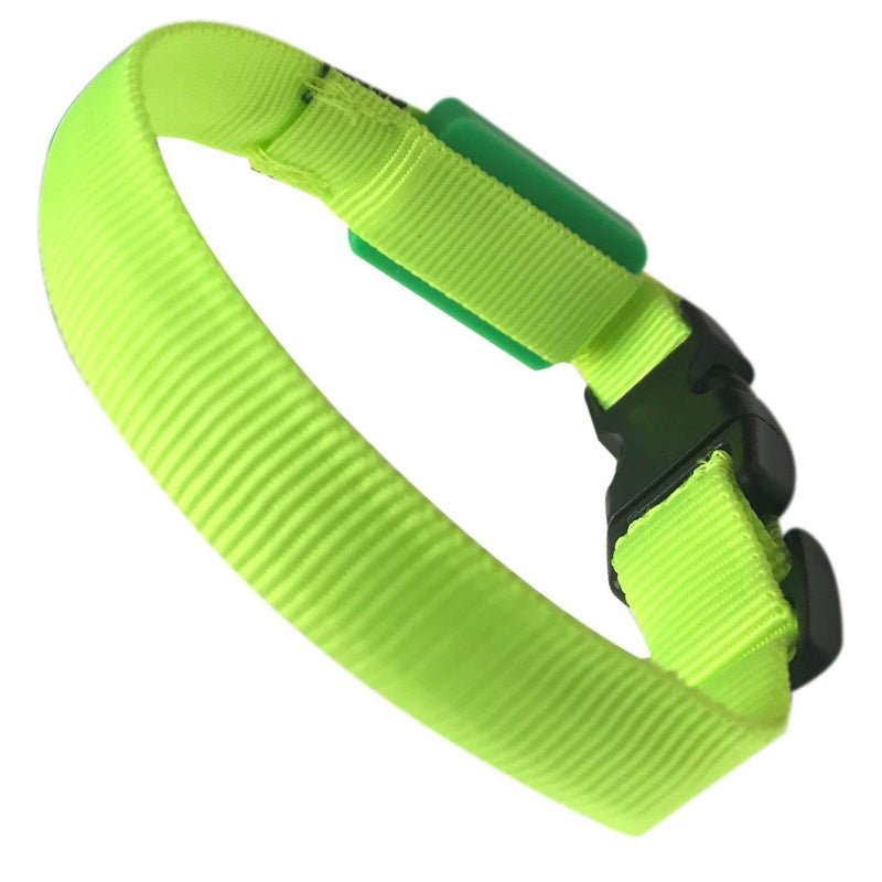 EXPERSOL LED Dog Collar Super Bright Battery Operated Increased Visibility and Safety 4 Colours (X-Small Green) - PawsPlanet Australia