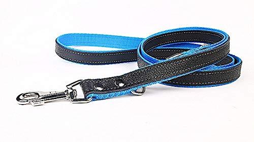 Capadi K0203 Adjustable Dog Lead Made of Genuine Durable Leather Lined with Strong Nylon Blue Width 25mm Length 220cm - PawsPlanet Australia