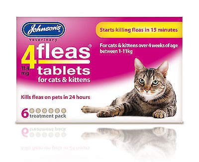 JOHNSON'S 4 fleas 4 Flea Tablets Cat Kitten also available Flea Combs (6 Treatment) - PawsPlanet Australia