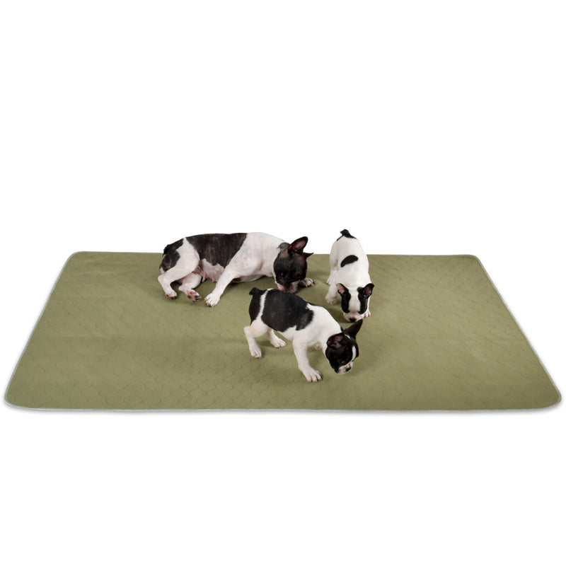 Millie Mats Washable Dog Pee Pads Extra extra large. Incontinent & Senior Dogs. Leak Proof to Protect Floors. Use for Whelping, Travel Mat or Indoor Potty Pad 112 x 160 cm (44"x63") (XXL) 112 x 160 cm - Single ARMY GREEN - PawsPlanet Australia