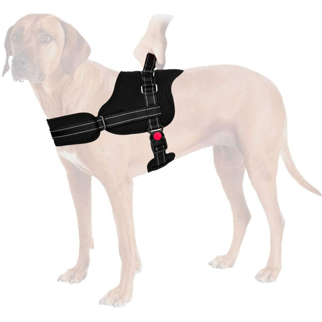 Nasjac No Pull Harness, Dog Vest Harness with Handle Breathable Padded Reflective Front and Back Leash Connectors Adjustable Protectctive Two D Ring Pet Harness for Medium Large Dog Training Walking XL Black - PawsPlanet Australia