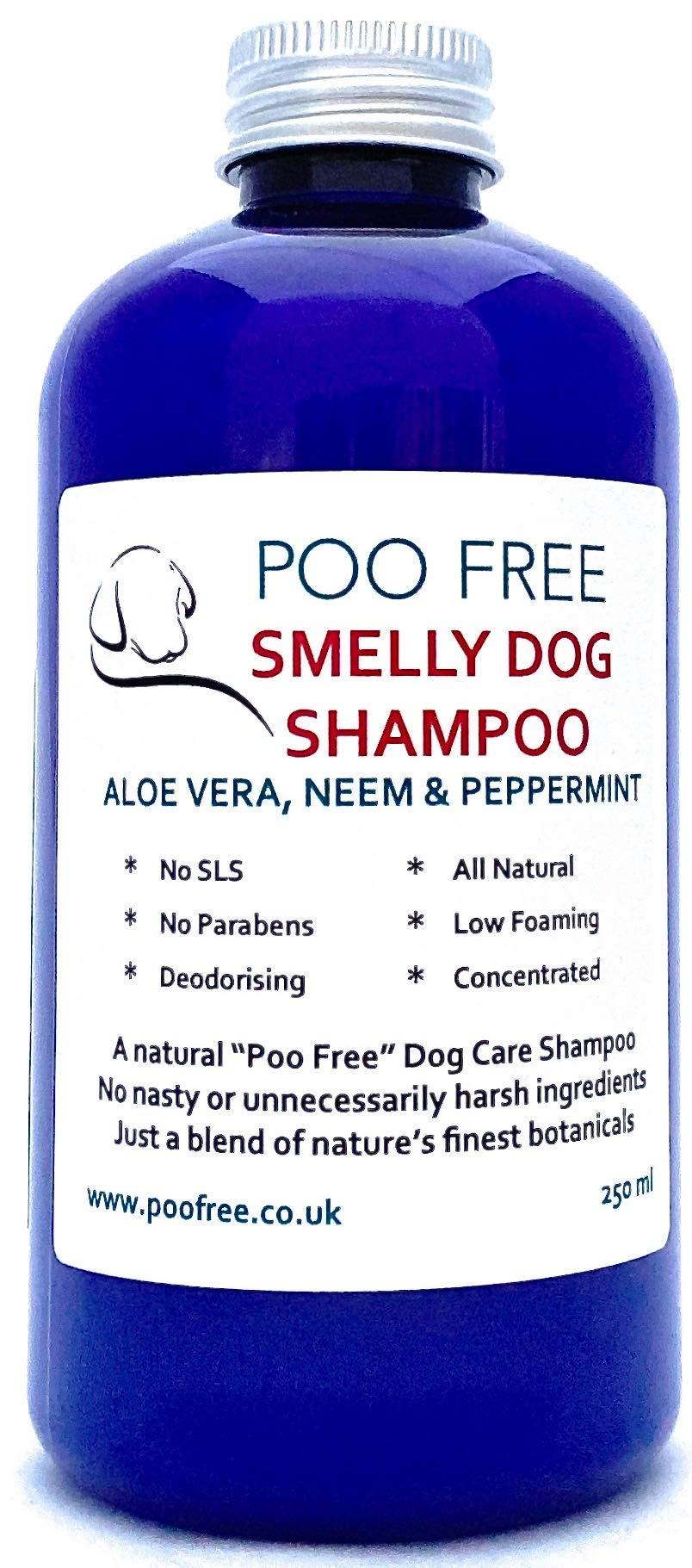 POO FREE Natural SMELLY DOG SHAMPOO - ALOE VERA NEEM & PEPPERMINT - 250ml No Sulfates, No Parabens, No Silicones. Cleans, Soothes, Relieves Itchiness, Eliminates Germs and Smells. Concentrated. - PawsPlanet Australia