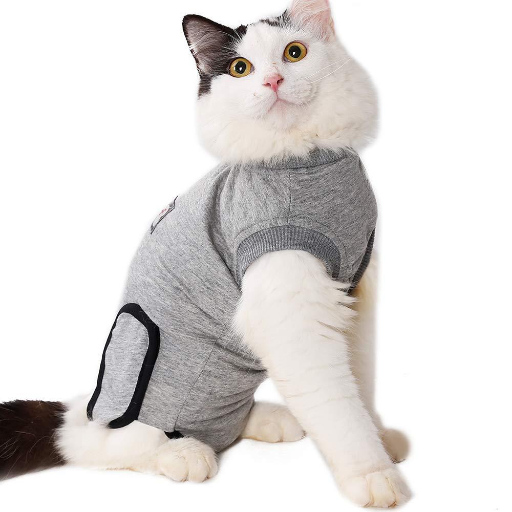 BT Bear Pet Surgery Recovery Suits,Cats Clothes Abdominal Wounds Skin Diseases E-Collar Alternative Cotton Cat Shirt for Cats Puppy Small Dogs (M-Back length 40cm) M--Back length 40cm,Chest-48cm - PawsPlanet Australia