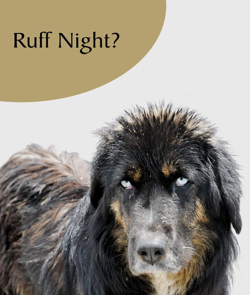 Portfolio - Dog Tastic - Ruff Night? - N605 - PawsPlanet Australia