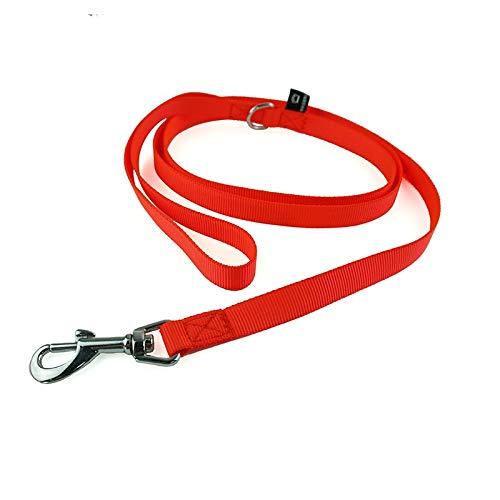 Frank & Sonny Battery Operated LED Dog Lead/Leash (Small, Red) Small - PawsPlanet Australia