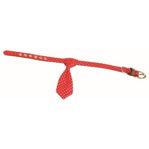 Croci Collar for Dogs Pop Andy with Tie, Size 1 x 25 cm - PawsPlanet Australia