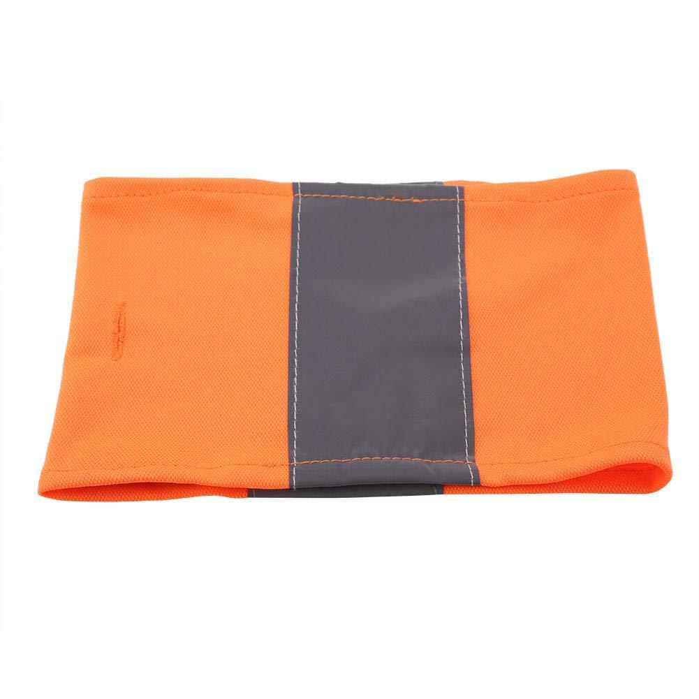 Reflecting Pet Scarf Fluorescence Dog Cat Collars Bandana High Visibility for Outdoor Activity Day and Night(Orange L) Orange L - PawsPlanet Australia