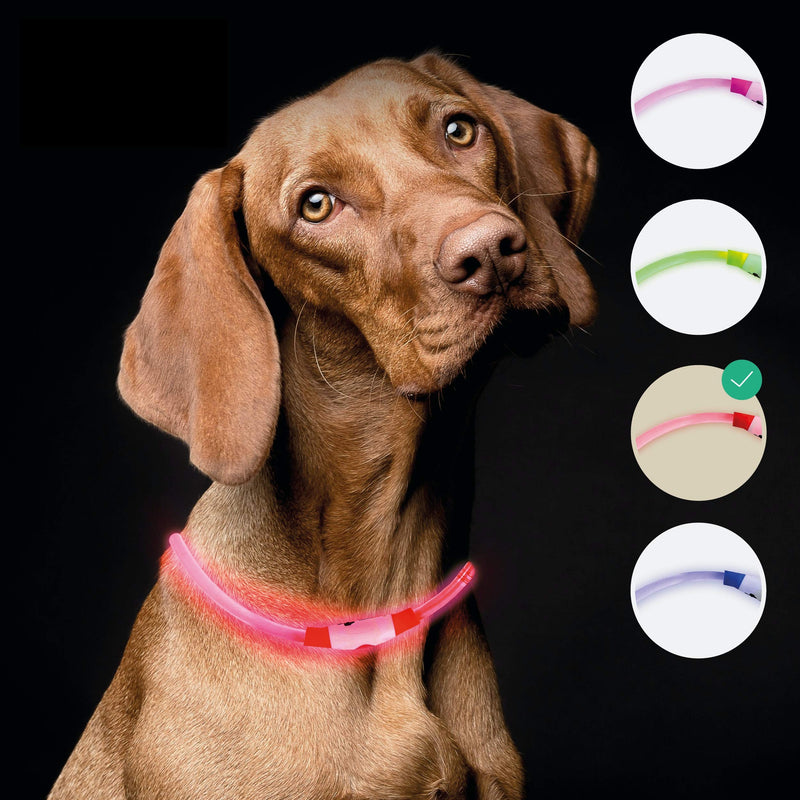LED light collar for the Dog | Extra Bright | Long Lasting Optical Fiber | Rainproof | Light Collar Dog Long Hair and Short Hair | USB Rechargeable Red - PawsPlanet Australia