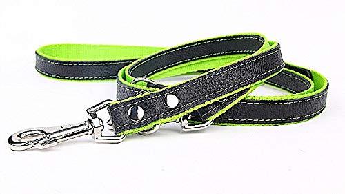 Capadi K0195 Adjustable Dog Lead Made of Genuine Durable Leather Lined with Strong Nylon Green Width 16mm Length 220cm - PawsPlanet Australia