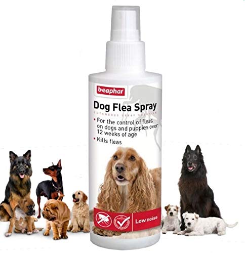 Beaphar Dog Puppy Flea Pump Action Spray Treatment Kills Fleas Dead 150ml (Dog Flea Spray) Dog Flea Spray - PawsPlanet Australia