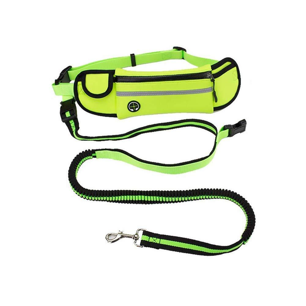 Leberna Hands Free Dog Leash Walking Belt,Adjustable Belt Waist Bag for Walking,Jogging and Running Green - PawsPlanet Australia