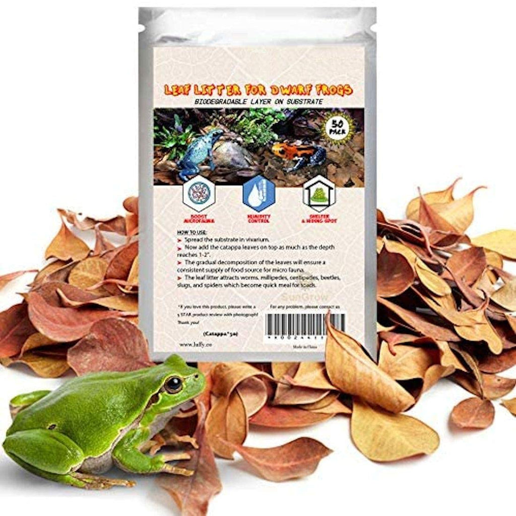 SunGrow Dwarf Frog Leaf Litter, 2 Inches, Mini Leaves for Microfauna, Regulates Humidity inside Terrarium, Provides Shelter, Aids in Reproduction, Regulate pH of Substrate, 50 Pieces - PawsPlanet Australia