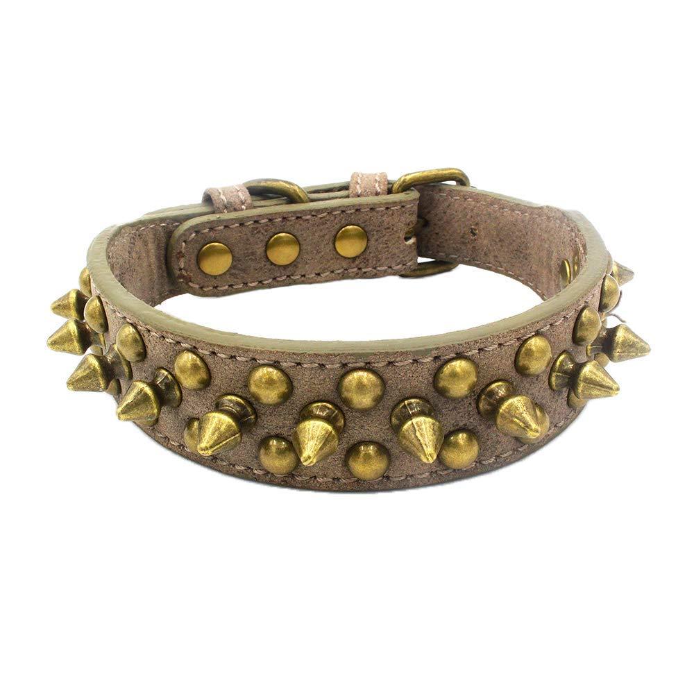 Newtensina Retro Bronze Studded Dog Collar Puppy Collar with Rivets for Small Dogs Medium Dogs - Grey - XL - PawsPlanet Australia