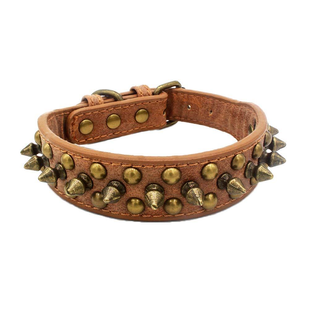 Newtensina Retro Bronze Studded Dog Collar Puppy Collar with Rivets for Small Dogs Medium Dogs - Brown - L - PawsPlanet Australia