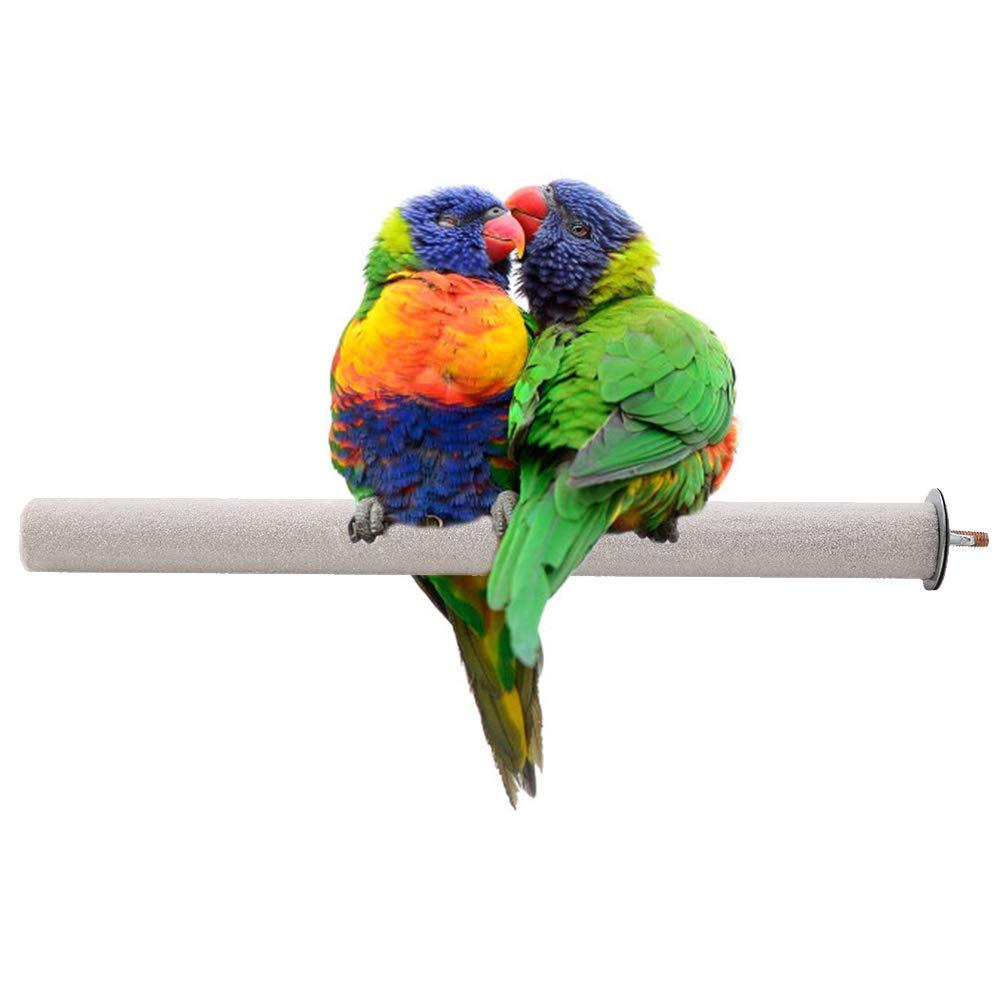 HEEPDD Parrot Perch, Wood Perch Paw Grinding Toy Standing Bar for Bird Macaw African Grey Budgie Parakeet Cockatiel Conure Lovebird Finch(13.8 inch) 13.8 inch - PawsPlanet Australia