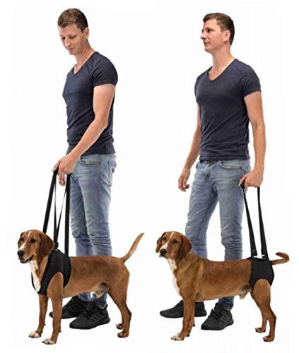 SIPW Dog Body Walking Aid Support Supports Hind Legs or Front Legs (Medium - up to 25kg) Medium - up to 25kg - PawsPlanet Australia