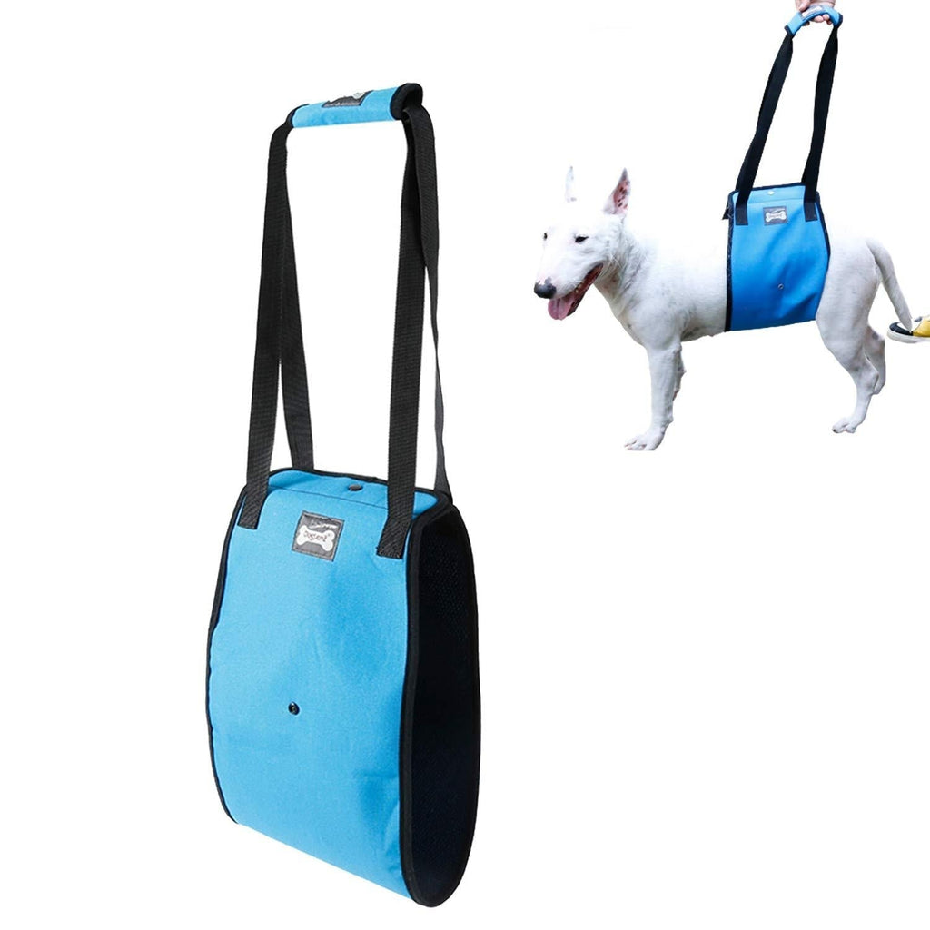 Tineer Dog Lift Harness Support Sling for Elderly or Disabled Dogs - Support Harness Rear Help Weak Legs Stand Up, Walk, Climb Stairs - Walking Auxiliary Belt for Medium Large Dogs (S, Blue) S - PawsPlanet Australia