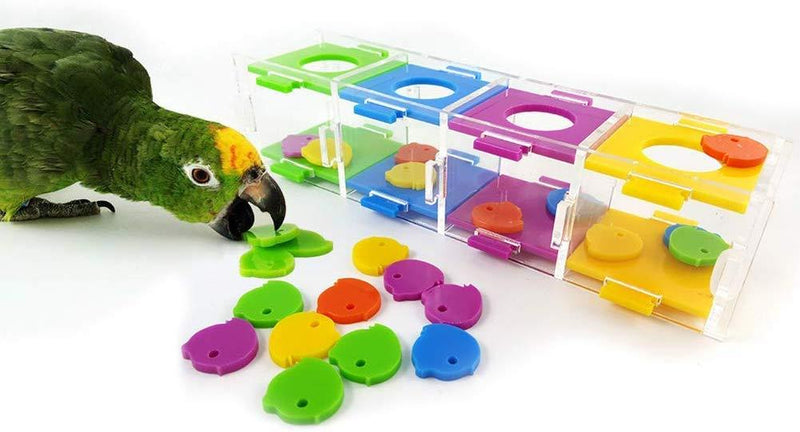 HEEPDD Bird Intelligence Training Toy, Interactive Playing Puzzle Toy with Color Separation Coin Box for Parrot Hamster Macaw African Greys Parakeet - PawsPlanet Australia