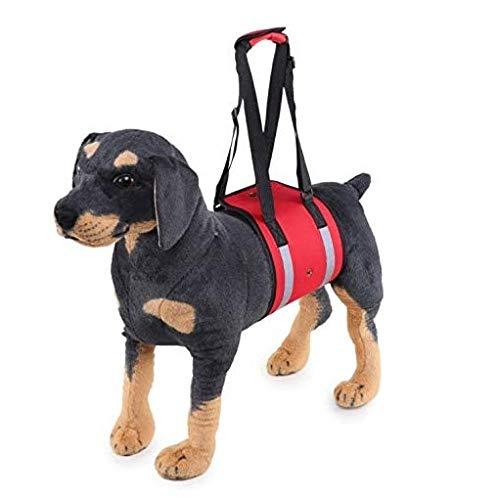 Dog Auxiliary Belt Dog Lift Support Harness Rehabilitation Harness Assist Sling Pet Walking Aids with Soft Handle Straps for Elderly Injured Disabled Pet Dogs to Go Up/Down Stairs(M) M - PawsPlanet Australia