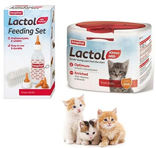 Sipw Beaphar Lactol Kitten Milk Replacement Milk Feeding Set (Lactol + Feeding Kit) Lactol + Feeding Kit - PawsPlanet Australia