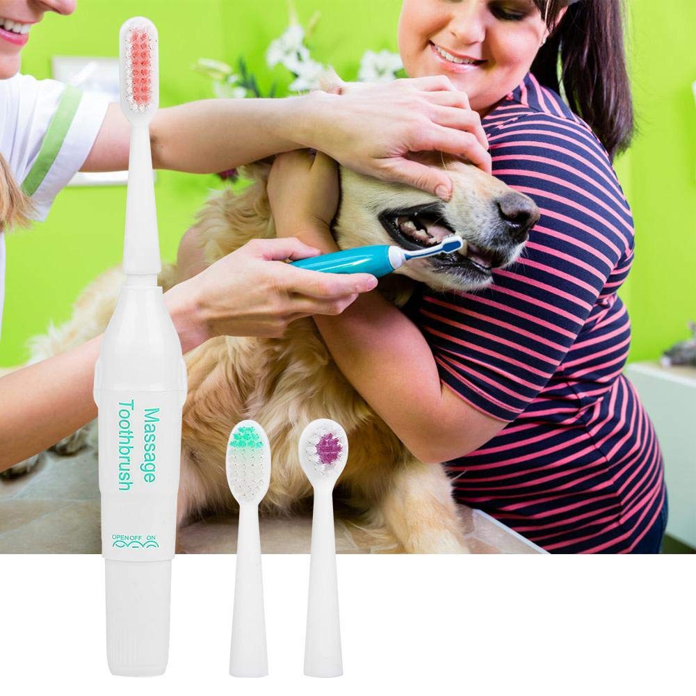 Pssopp Pet Electric Toothbrush Dog Cat Teeth Cleaning Tool Professional Electric Dog Toothbrush with Two Soft Brush Head (Green) Green - PawsPlanet Australia