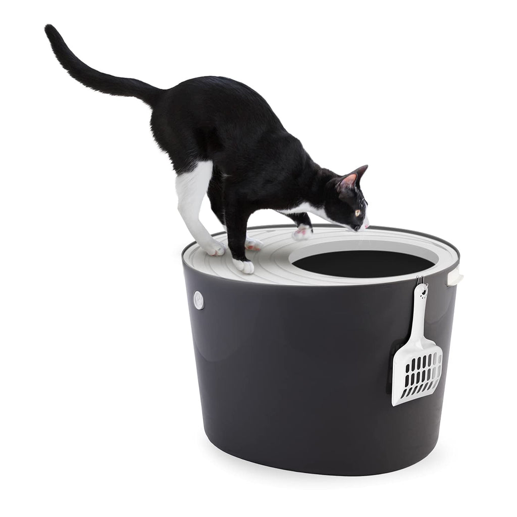 Iris Ohyama, Cat litter tray with grooved lid, no odor & litter spill, large entrance L26.7 x W22.9 cm, scoop included, for cat - Cat Litter Box Jump-in PUNT-530 - Grey Grooved cover - PawsPlanet Australia