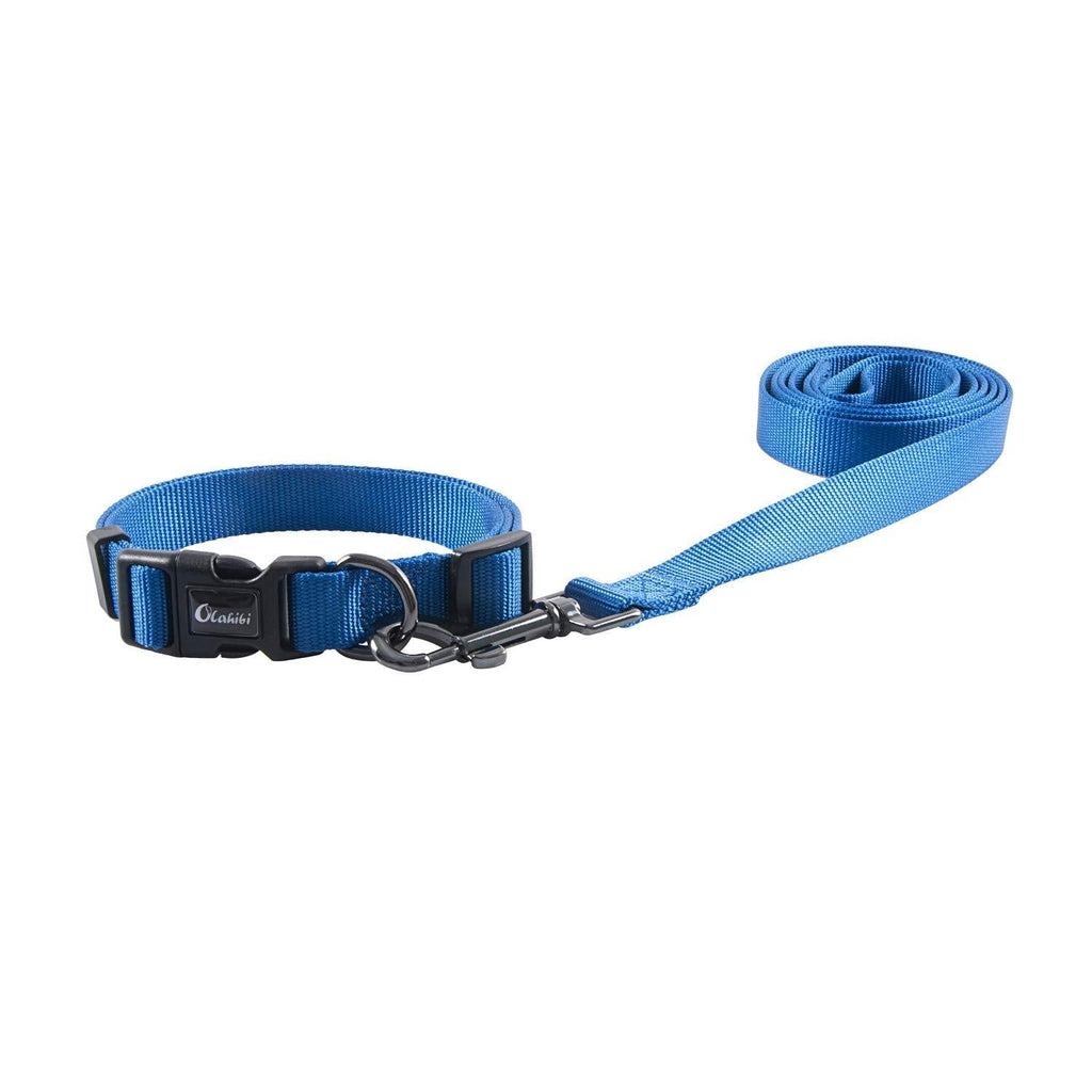 Olahibi Basic Dog Collar Leash Set 2 in 1, Durable Nylon Collar and 5ft Matching Lead for Small Dogs.(S, Blue) - PawsPlanet Australia
