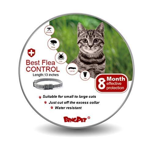 BINGPET Flea and Tick Collar for Cat - 8 Month Protection Adjustable Collar- Best Flea Control Treatment for Kitten - PawsPlanet Australia