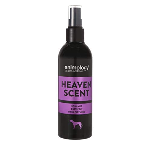 ANIMOLOGY Heaven Scent Body Mist – 150ml Deodorised Spray for Female Dogs – Enhancing Delicate Scent – With Feminine and Floral Fragrances – Long Lasting Notes of Neroli and Peony 150 ml (Pack of 1) - PawsPlanet Australia