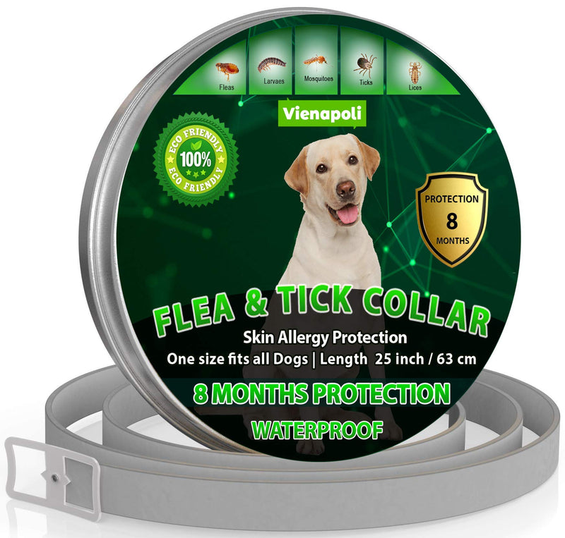 Natural Flea Treatment for Dogs  8 Months Flea and Tick Collar Dog Protection  Adjustable Dog Flea Collar for Small, Medium, Large Puppy  Effective & Waterproof Lice, Tick Repellent for Dogs (Grey) - PawsPlanet Australia