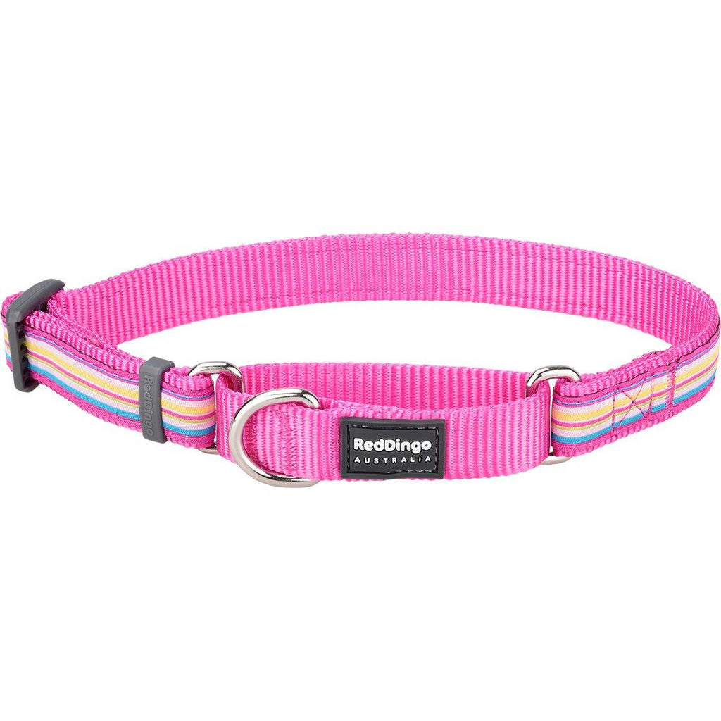 Red Dingo Hot Pink Stripes Martingale Dog Collar (15mm x 24-36cm), One Size Small - PawsPlanet Australia