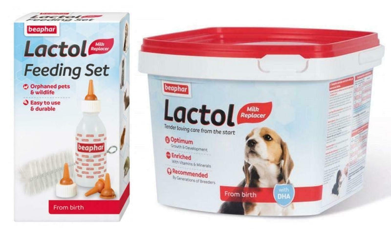 SIPW Beaphar Lactol Puppy Milk Welping Milk for Baby & Orphaned Puppies + Feeding Kit (1kg Lactol Milk + Feeding Kit) 1kg Lactol Milk + Feeding Kit - PawsPlanet Australia