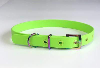 LIME GREEN BIOTHANE RAINBOW BUCKLE DOG COLLAR 19"-23" 48CM-58CM 25MM WIDE LARGE WATERPROOF HYPOALLERGENIC DURABLE VEGAN - PawsPlanet Australia