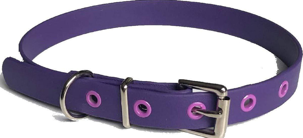 BIOTHANE BUCKLE DOG COLLAR PURPLE 16"-20" 40CM-50CM 25MM WIDE MEDIUM WATERPROOF HYPOALLERGENIC VEGAN DURABLE - PawsPlanet Australia