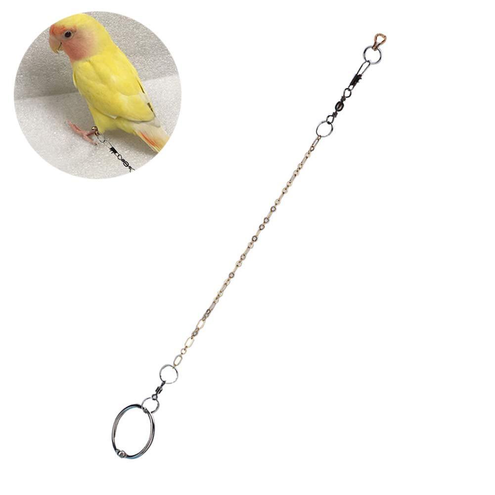 Birds Foot Chain Stainless Steel Parrot Anklet Chain Training Harness for Different Kinds and Sizes of Parrots(Agapornis) Agapornis - PawsPlanet Australia