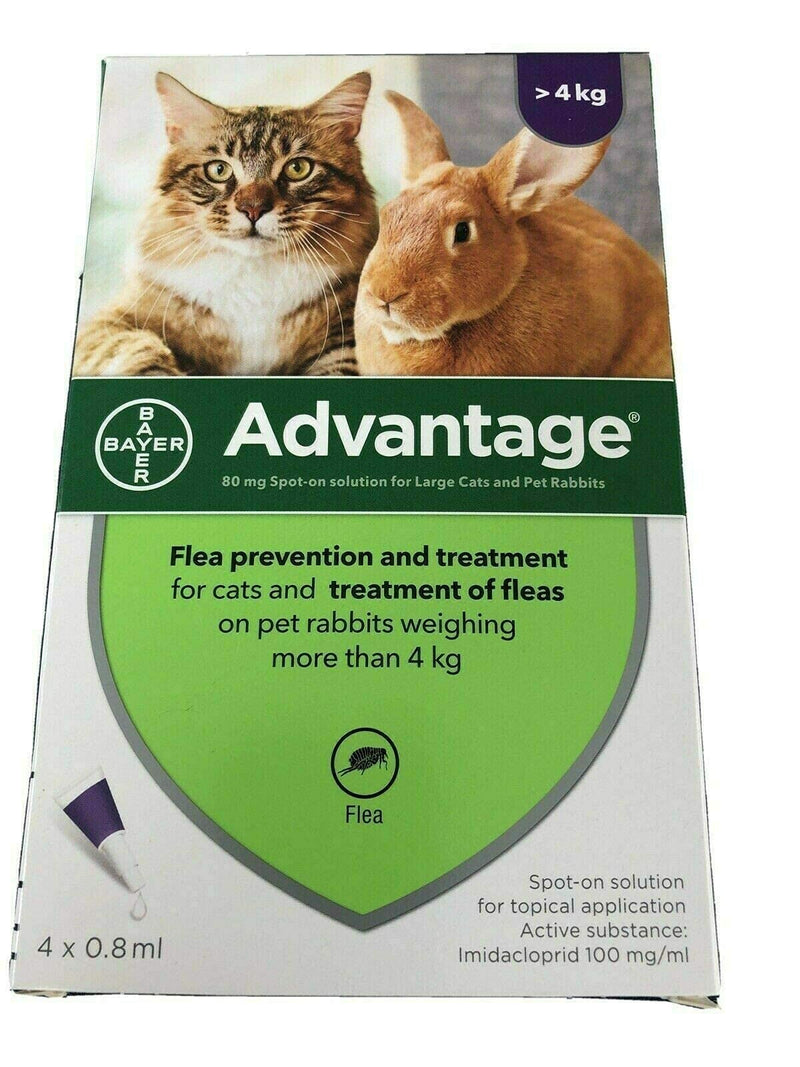 Advantage Spot On Flea Treatment 80 Large Cat and Rabbit >4kg (4 pipettes) - PawsPlanet Australia