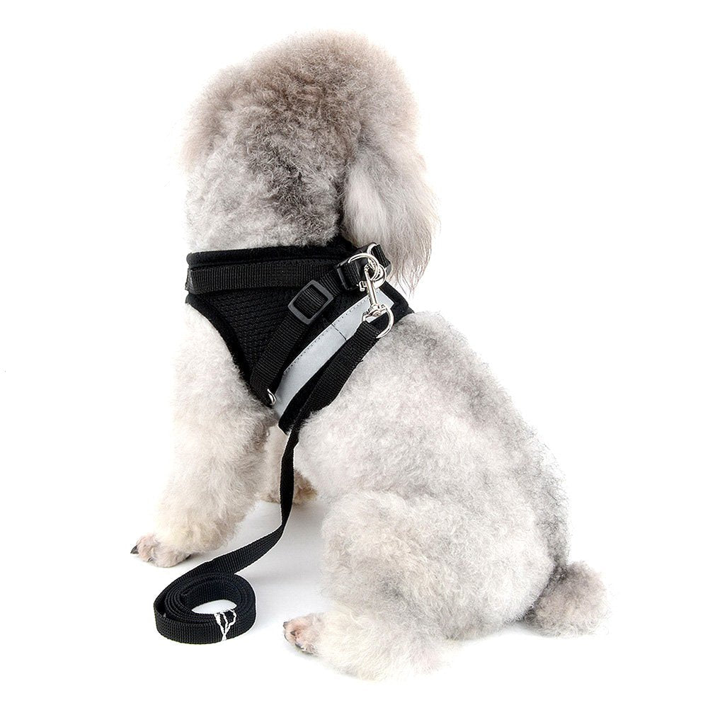 Zunea No Pull Dog Harness for Small Dog Cat Reflective Breathable Soft Mesh Padded Step-in Vest Harnesses Leash Set, Puppy Kitten Lead Escape Proof for Daily Walking Black XS XS (Pack of 1) - PawsPlanet Australia