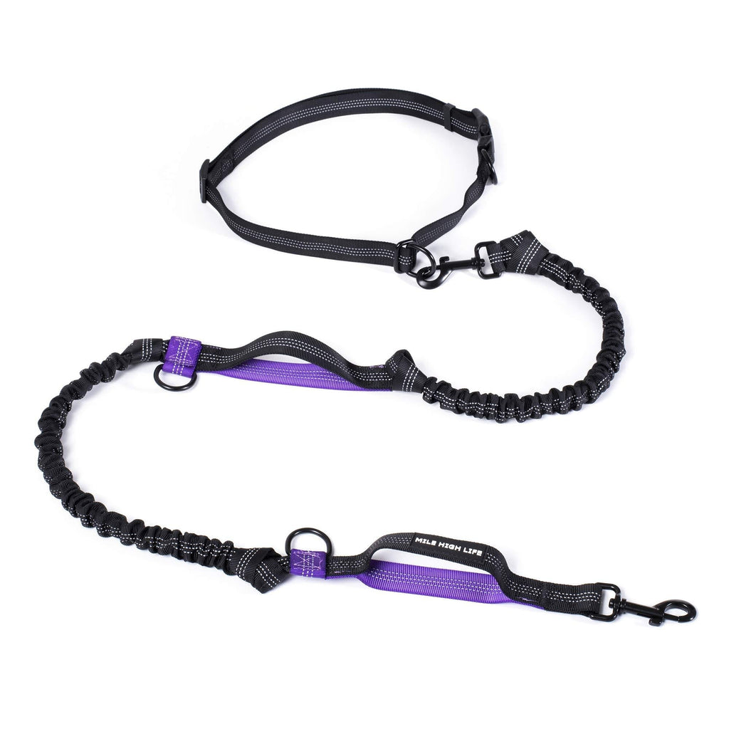 Mile High Life | Retractable Hands Free Dog Leash | Waist Running Adjustable | Reflective Dual Bungees | Dual Handles | Small Medium Large Dogs | (Purple) Purple - PawsPlanet Australia