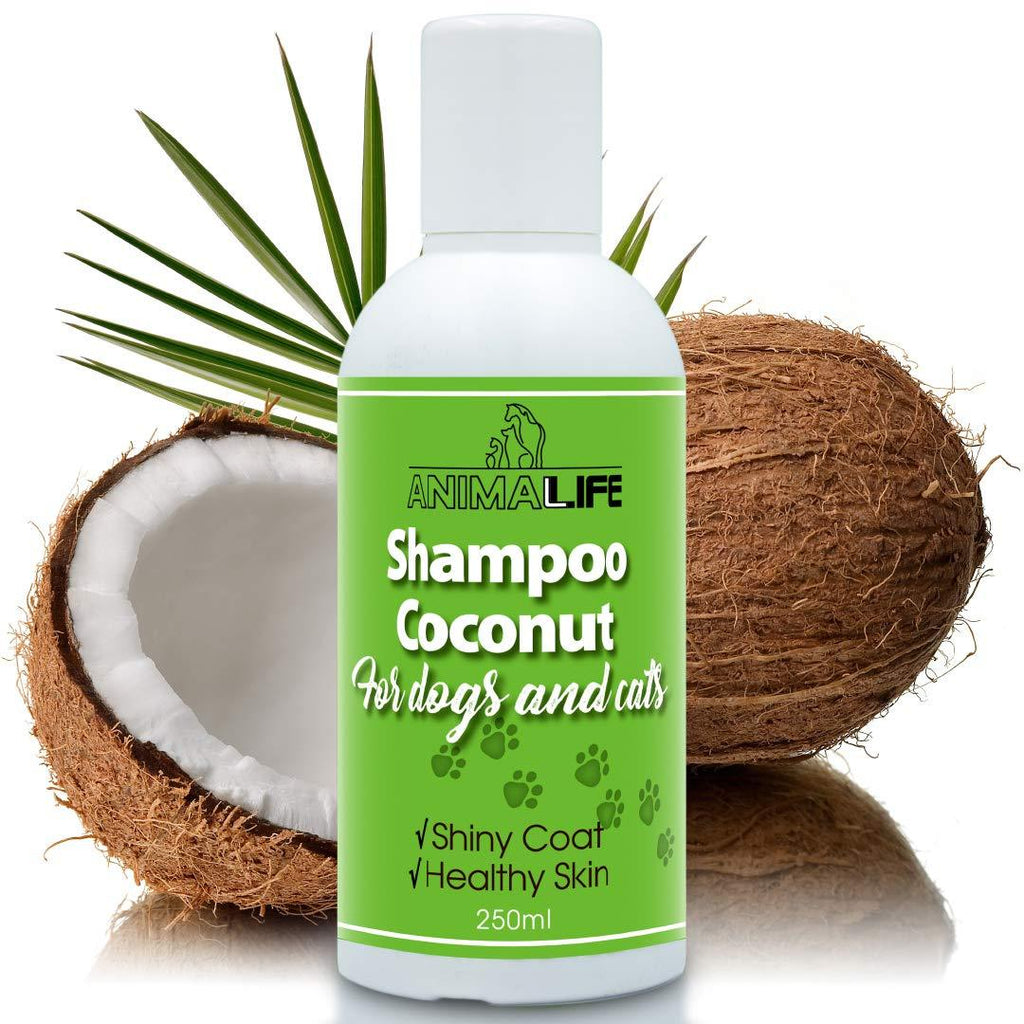 Coconut Oil Shampoo for Dogs & Cats 250ml - Coconut Oil - Ethereal Tea Tree & Rosemary Oil - Nurturing - Easily Combed - Pleasant Smell - Silk Proteins - PawsPlanet Australia