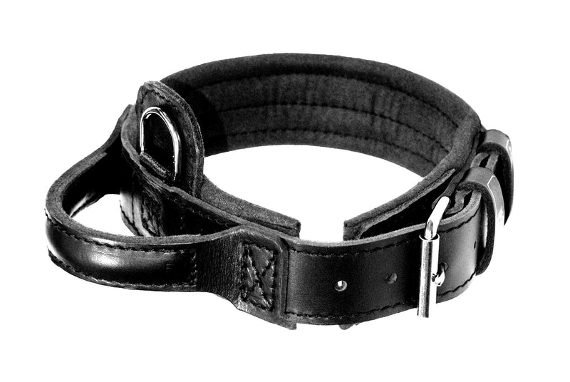 DINGO GEAR Leather Collar for Dog, Amortized, Black, with a Handle, Handmade Drago S04021, 48 - 56 cm - PawsPlanet Australia