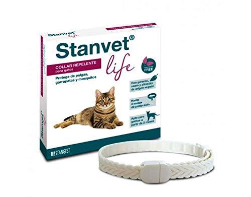 Stangest Necklace Stanvet Life Cats 1U 1 unit 100 g - PawsPlanet Australia