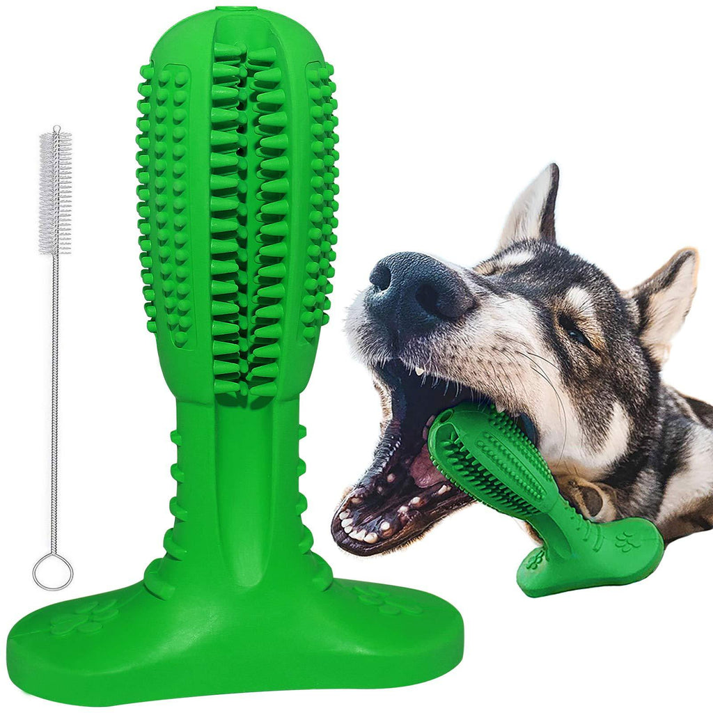RUCACIO Dog Toy Dog Toothbrush Stick Dog Chew Toys for Medium Large Dogs Puppy Dental Care Brushing Effective Doggy Teeth Cleaning Massager Nontoxic Natural Rubber Bite Resistant (M) M-Green - PawsPlanet Australia