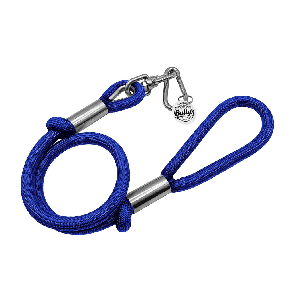 Pit Bull Leash, Leash for Large Dogs, Heavy Duty Nylon, Stainless Steel Hardware (48 Inch, Sapphire Blue) 48 Inch - PawsPlanet Australia