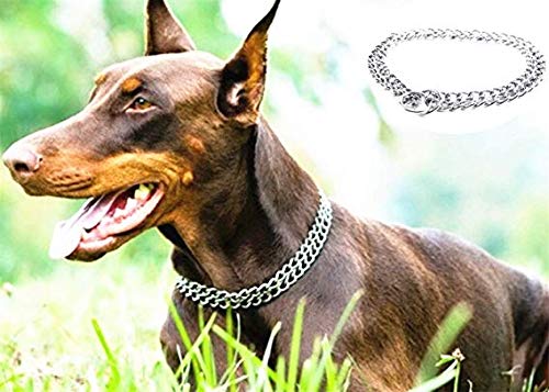 JYHY Luxury Dog Choke Collar Slip P Chain -Pet Iron Metal Double Chain Row Neck Walking Training Small Medium Large Dogs,60cm 2.5mm*60cm - PawsPlanet Australia
