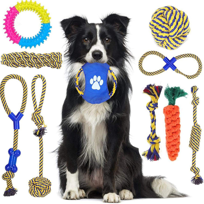 Nobleza - Pack of 10 Dog Toys, Ropes for Teething or Training, Dog Chew Rope Toy Durable Teething Pack for Puppy, knotted Cotton Toy, Ideal for Dental Care Dog Chew Toy Set with Box - PawsPlanet Australia