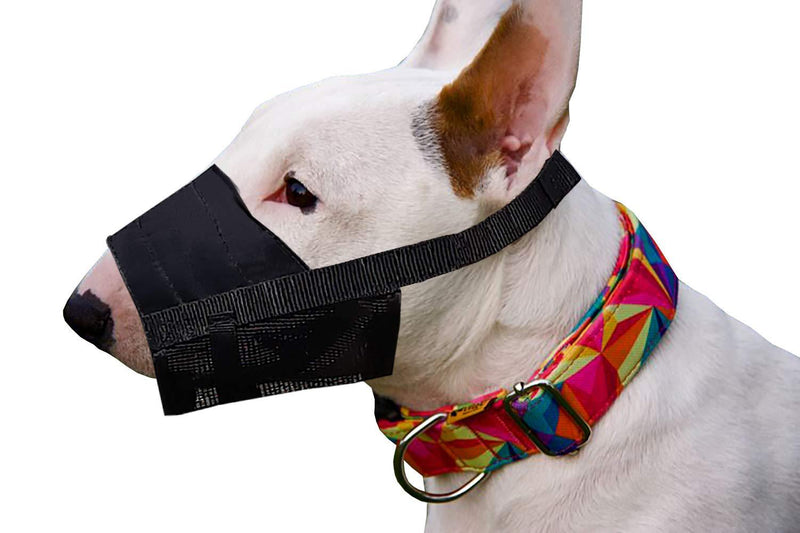 Dingo Nylon Muzzle for Parson Russel Pinscher, Miniature Schnauzer, Puppy, Small Breeds 16774 S New - PawsPlanet Australia