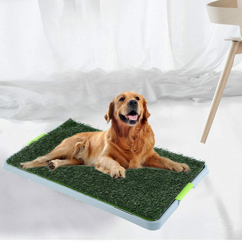 St@llion Grass Pee Pads for Restroom Pet Outdoor/Indoor Dog Cat Mat Puppy Training Toilet - PawsPlanet Australia