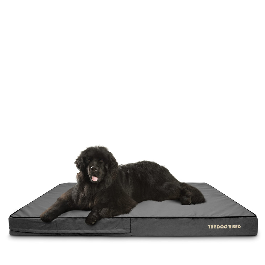 Replacement OUTER Cover (OUTER COVER ONLY - NO BED) for The Dog's Bed, Washable Oxford Fabric, XXXL 162 x 111 x 15cm (Grey with Black Piping) - PawsPlanet Australia